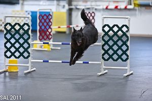 Photo of Garnette Jumping